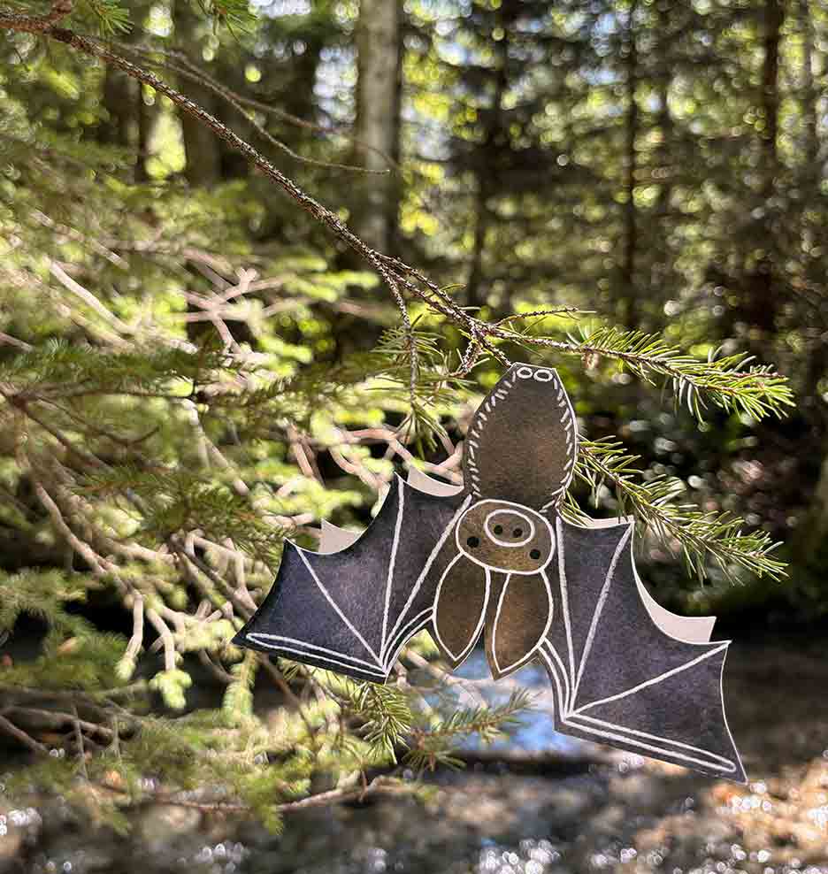 A bat-shaped greeting card with white line details on dark greys and blues suspended from a pine branch in a forest setting.