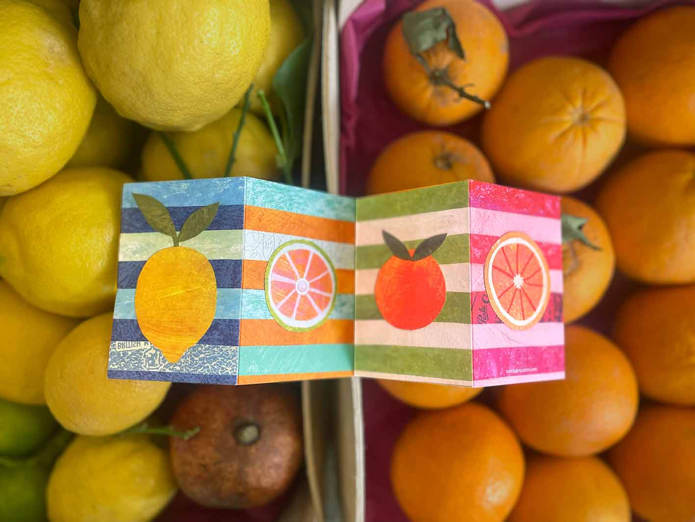 Citrus concertina card