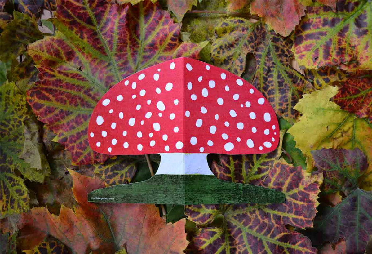 A red mushroom-shaped greetings card with white spots and a green moss base, placed on a bed of colourful autumn leaves.