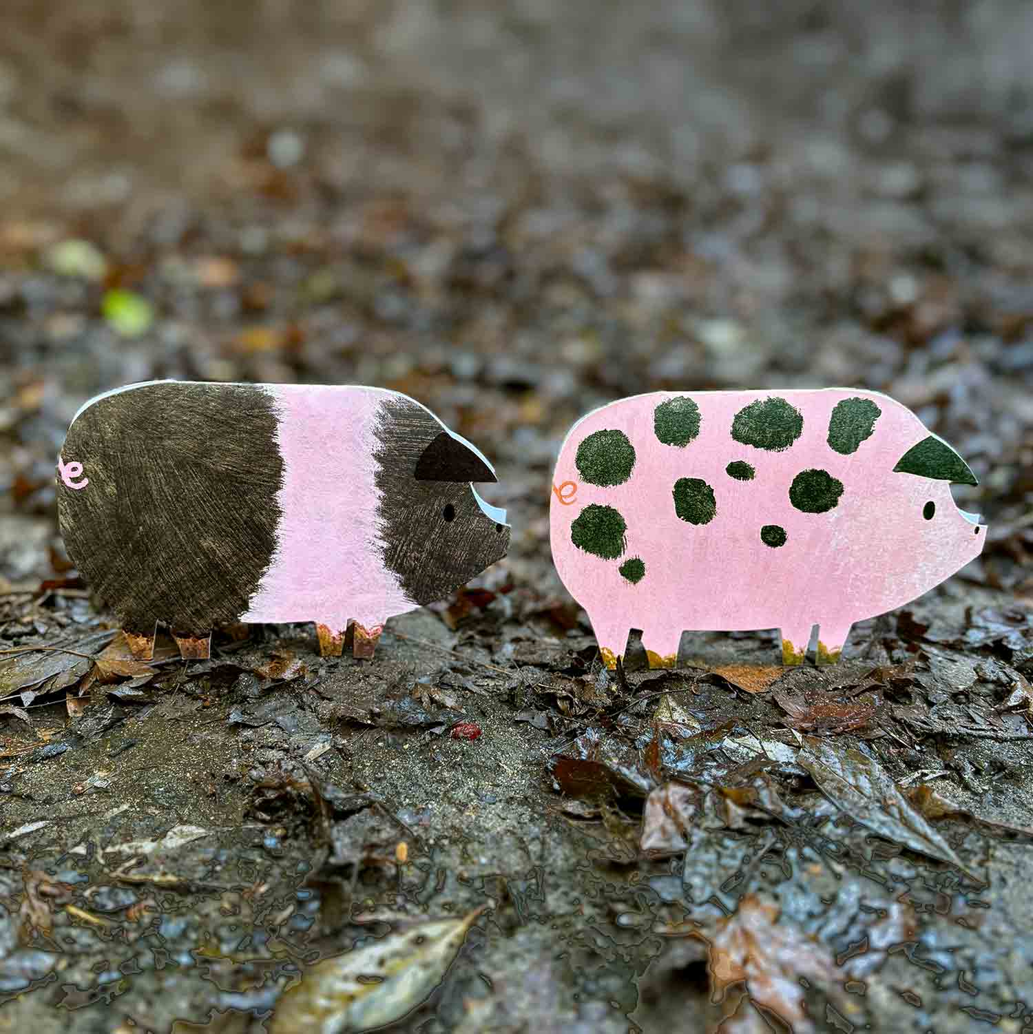 Two pig shaped cards standing on muddy ground
